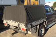 4wd Canopy 05
